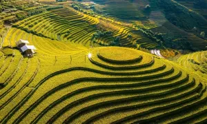 Mù Cang Chải vắng vẻ, khách 'bao cả ruộng' chụp ảnh Mù Cang Chải vắng vẻ, khách 'bao cả ruộng' chụp ảnh